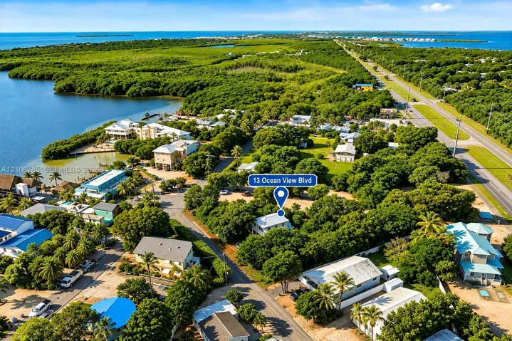 Aerial perspective featuring dense mature tree cover, proximity to coastal waterways, and established coastal vegetation