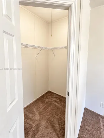 Walk-in closet featuring wall-to-wall carpeting and built-in wire shelving