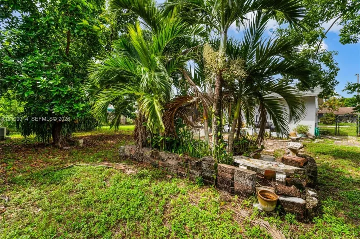 Landscaped yard featuring mature palm trees and a stacked stone retaining wall