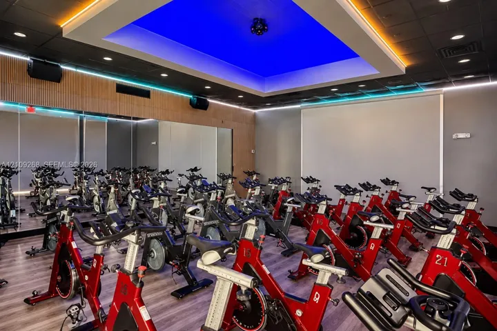 Fitness studio featuring wood-finish flooring, mirrored walls, recessed tray ceiling with accent lighting, linear LED wall lighting, and acoustic wood slat wall paneling