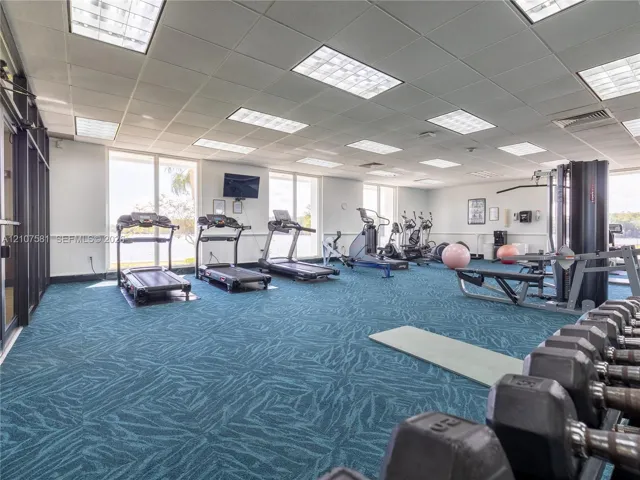 Fitness center with expansive windows, patterned carpet flooring, and a drop ceiling with integrated lighting