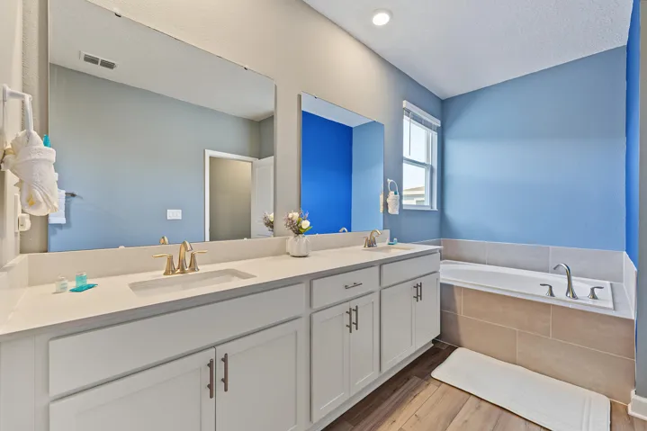 Dual-sink vanity with white cabinetry and solid-surface countertops, walk-in shower with glass enclosure, and vinyl wood-finish flooring