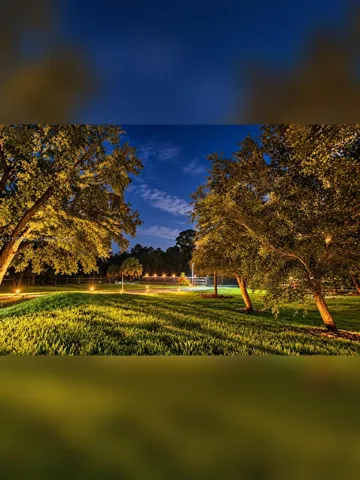 Expansive grounds featuring mature trees, manicured lawn, and landscape lighting