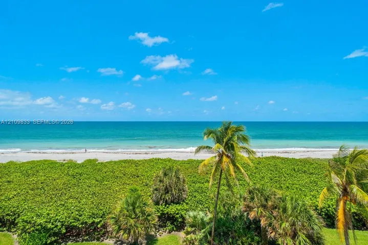 Oceanfront perspective featuring a sandy beach, coastal vegetation, and mature palm trees