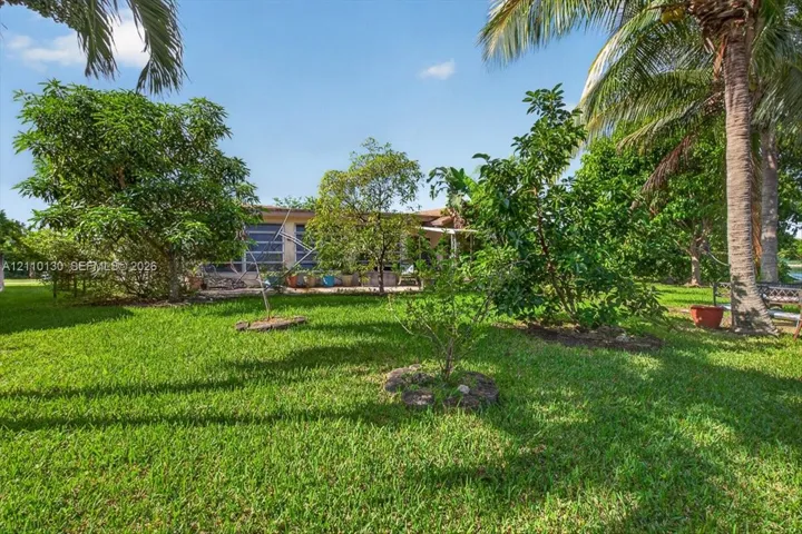 Expansive backyard featuring a lush grass lawn, mature palm trees, diverse ornamental shrubbery, and a screen-enclosed patio