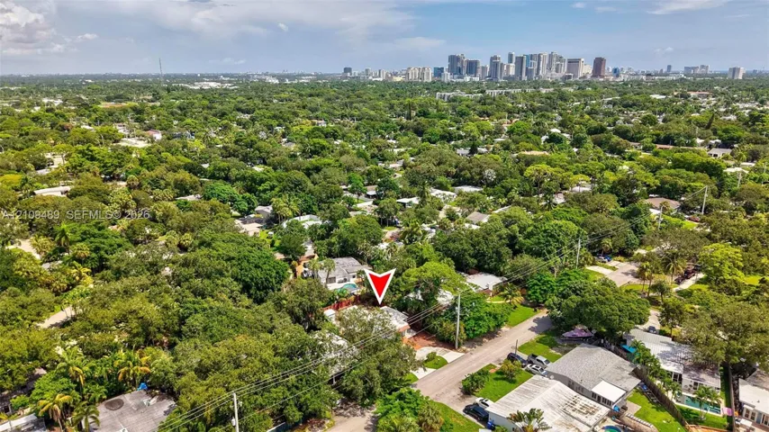 Aerial perspective featuring mature trees, a dense canopy, and an urban skyline backdrop