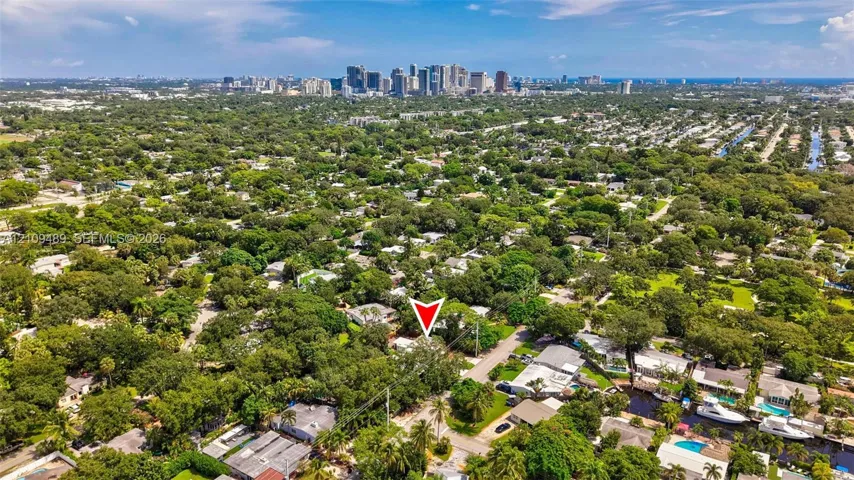 Aerial perspective featuring mature tree canopy, dense residential landscaping, and a distant cityscape skyline