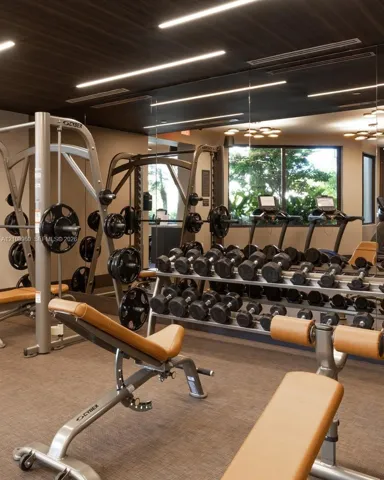 Fitness facility featuring recessed linear lighting, dark wood-finish ceiling paneling, full-wall mirrors, and carpeted flooring