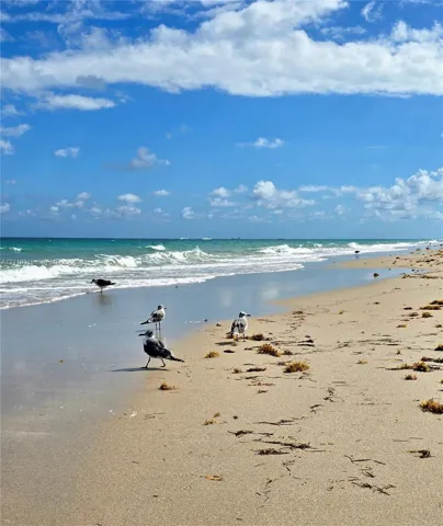 Beach
