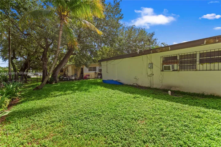 Expansive grass yard featuring mature palm trees and established perimeter vegetation