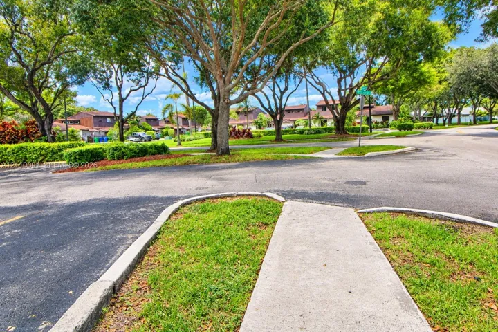 Asphalt street infrastructure featuring concrete curbing and paved pedestrian sidewalks shaded by mature canopy trees