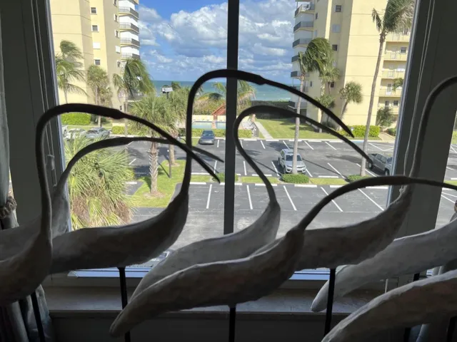 OCEAN VIEW