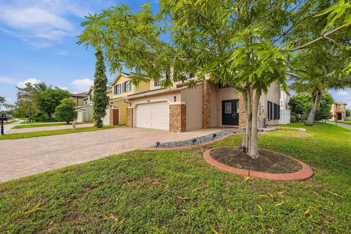 Nice side yard with Mango tree