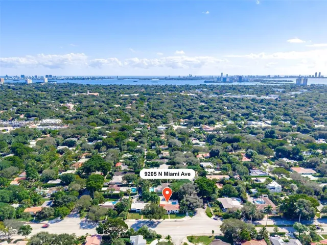 Aerial View with a skyline backdrop