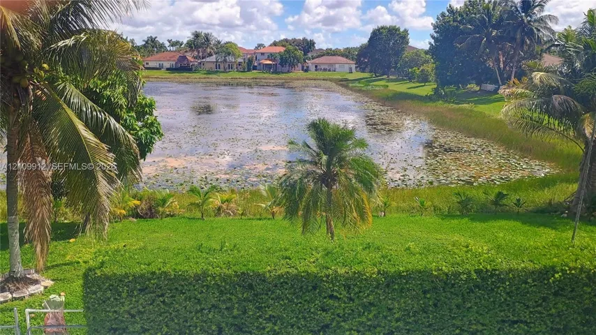 Waterfront lot featuring a manicured lawn, mature palm trees, and native vegetation