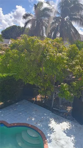 Outdoor space featuring an in-ground swimming pool with brick-style coping, a concrete patio, and mature landscaping including palms and shade trees