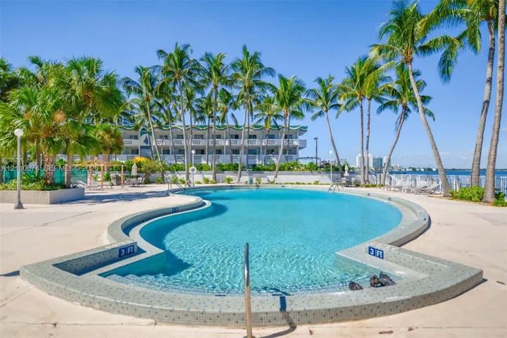 Curved swimming pool featuring a tiled perimeter, integrated shallow-entry steps, concrete pool deck, and surrounding mature palm trees