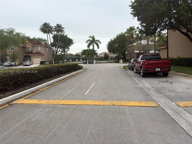Paved asphalt street featuring curbside parking, manicured hedge landscaping, and mature palm trees