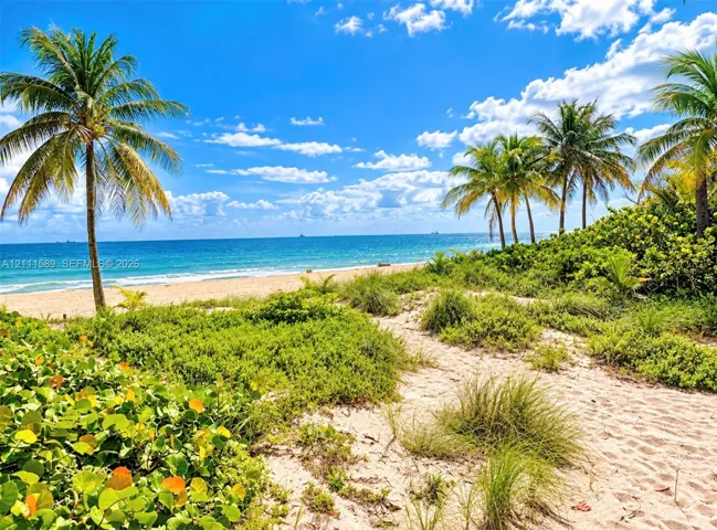 Sandy path featuring coastal vegetation, mature palm trees, and direct oceanfront access