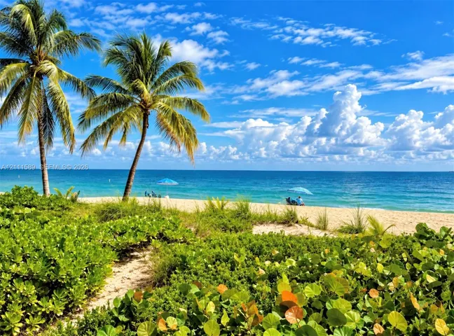 Direct ocean access featuring a sandy beach, mature palm trees, and native coastal vegetation