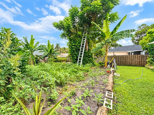 Backyard featuring a fruit trees, mature trees, and a wooden privacy fence