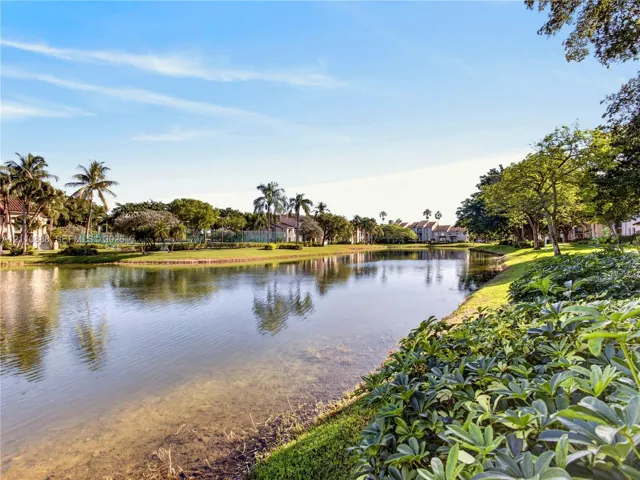 Waterfront parcel featuring a natural pond, expansive green space, mature palm trees, and lush vegetation