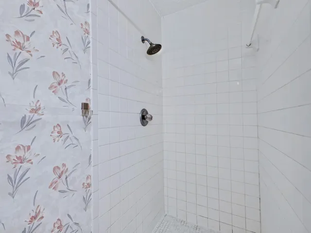 Primary Bathroom Shower
