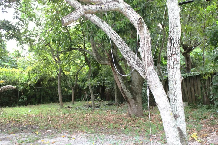 Backyard grounds featuring mature trees and perimeter wood fencing