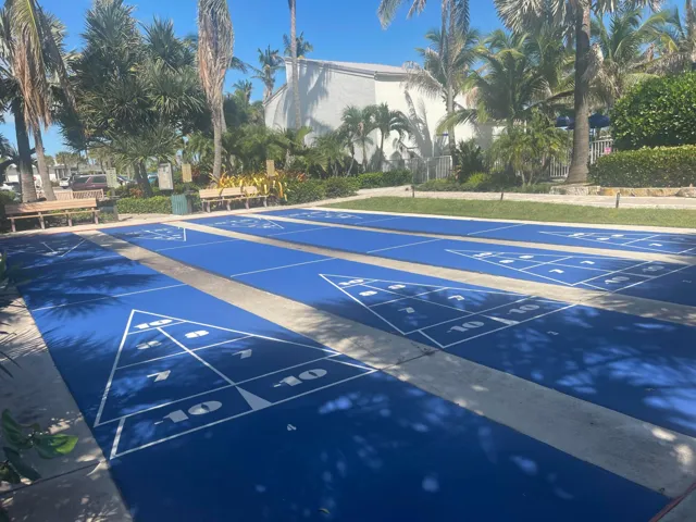 Shuffleboard