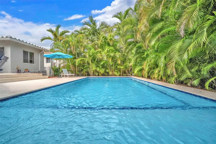 Rectangular in-ground pool with tile surround, expansive concrete patio, and mature palm trees