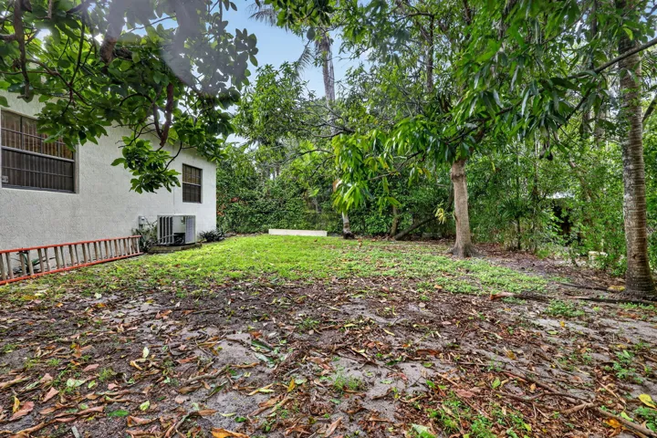37-web-or-mls-8H3A1779
