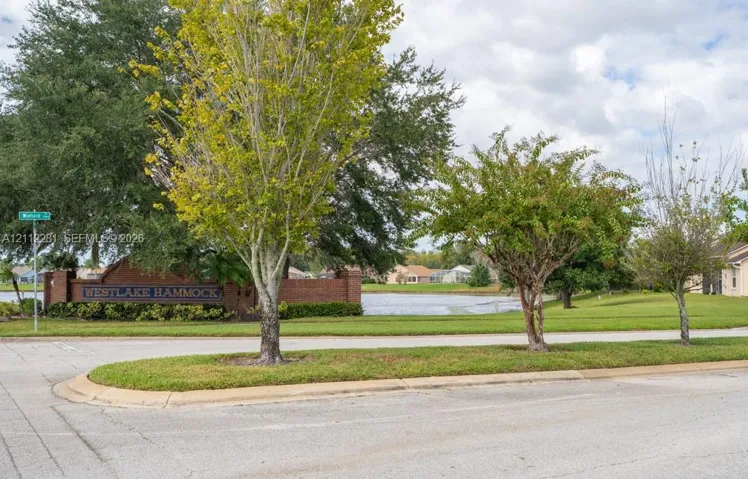 Tree-lined community street featuring manicured landscaping, sidewalks, and mature trees