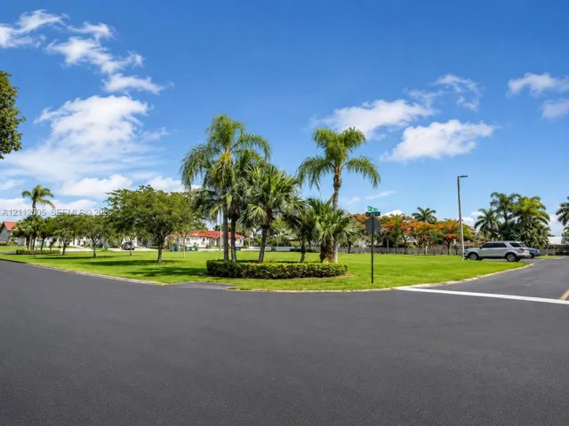 Expansive corner lot featuring mature palm trees, manicured landscaping, and asphalt street frontage