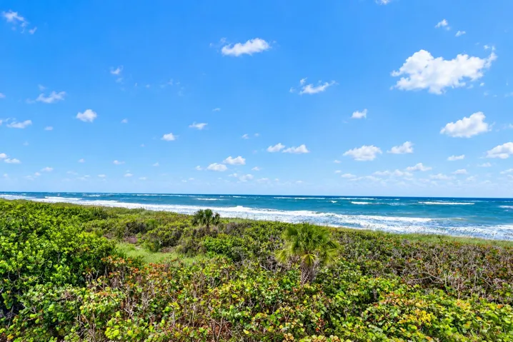 29-print-Sunny Coastal Dunes and Ocean W
