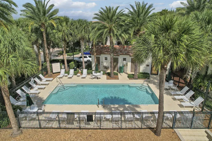 Rectangular outdoor swimming pool featuring a concrete deck, built-in metal perimeter fencing, and surrounding mature palm landscaping