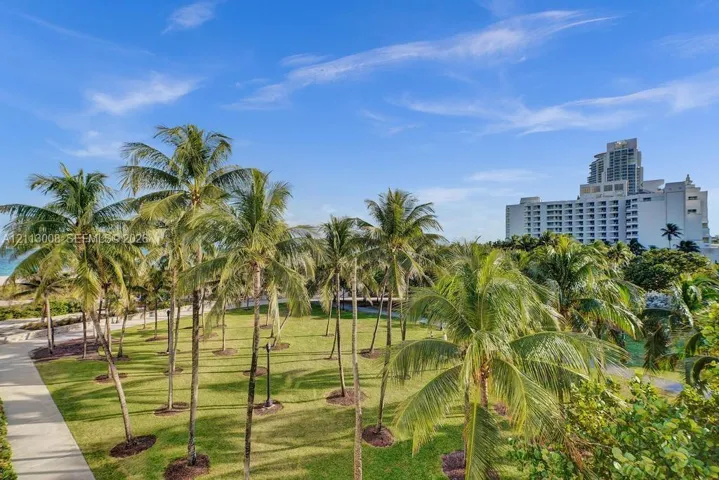 Expansive green space featuring mature palm trees, manicured lawn, and paved pedestrian pathways