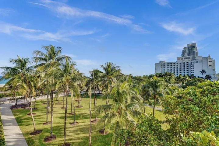 Expansive green space featuring mature palm trees, manicured landscaping, and a paved walkway