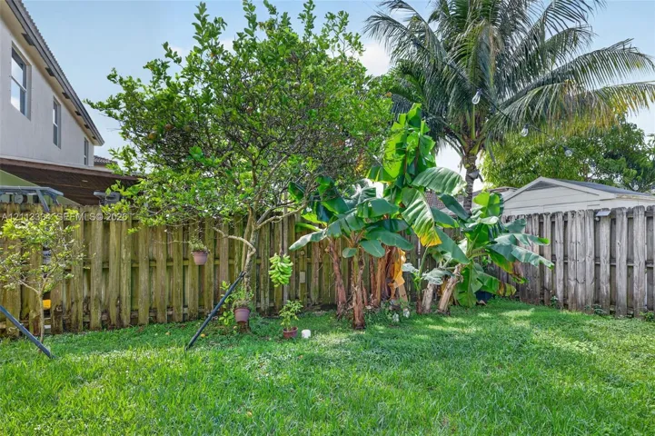 Fenced backyard featuring established fruit trees, banana plants, and a grass lawn