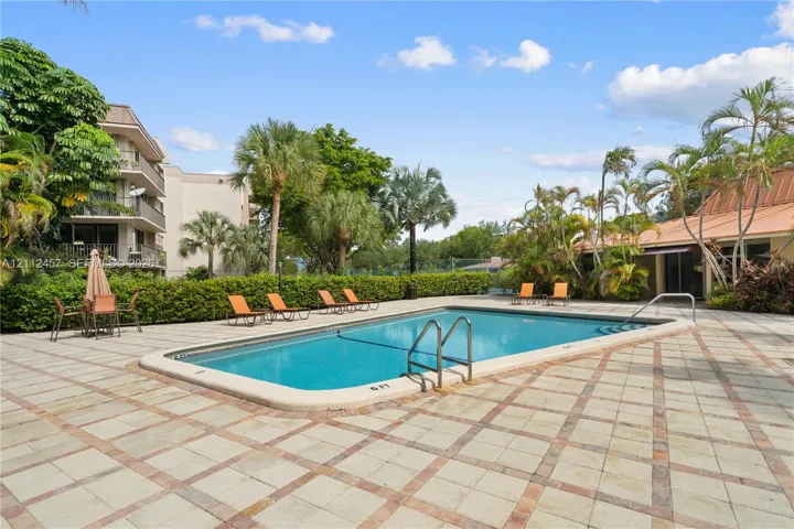 In-ground swimming pool featuring a concrete deck with paver borders and metal ladder access, surrounded by mature palm trees and manicured privacy hedging
