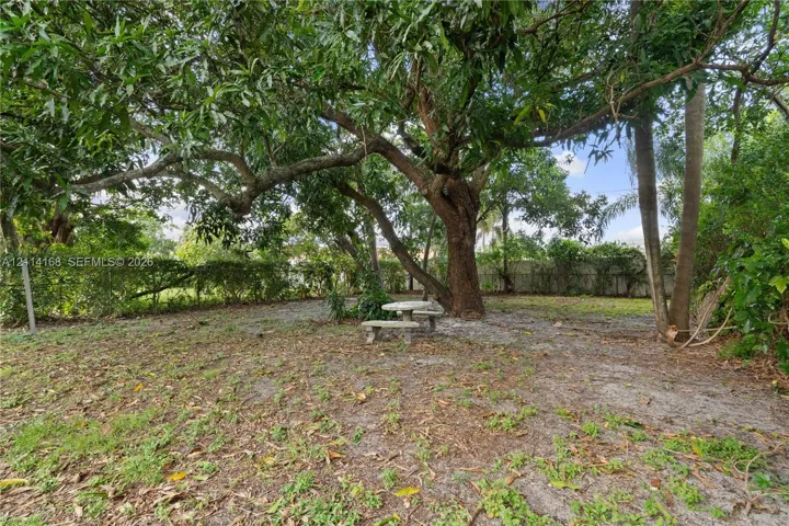 Rear grounds featuring a mature Avacado and Mango tree, perimeter hedging, and a stone-composite bench set