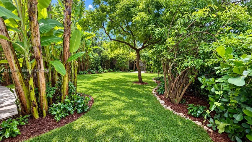 Lush backyard featuring a manicured lawn, established banana trees, mature foliage, and stone-bordered mulch beds