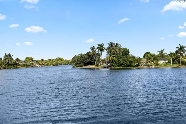 Waterfront property featuring a canal expanse, mature palm trees, and native vegetation