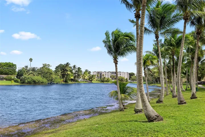 Waterfront property featuring a natural lake, grass landscape, and mature palm trees