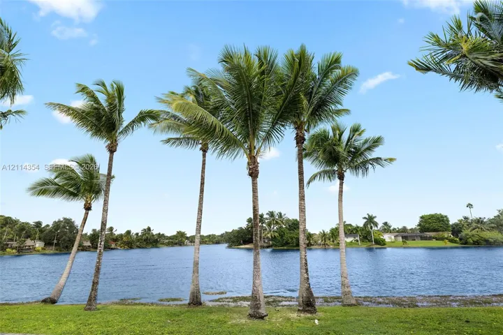 Waterfront lot featuring mature palm trees and manicured lawn