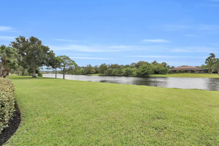 Backyard / Lakeview