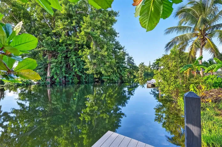 Waterfront lot featuring a wooden pier, mature trees, and native vegetation