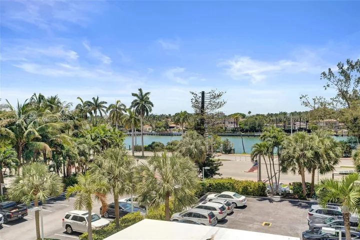 Waterfront scenery with mature palm trees and paved parking area