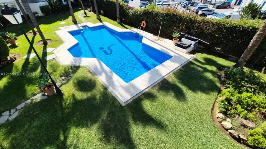In-ground swimming pool featuring stone coping, surrounding grass lawn, mature palm trees, and dense perimeter hedge