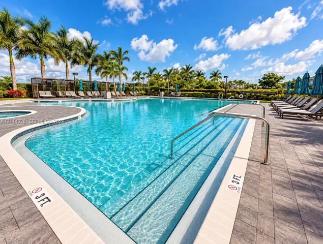 Resort-style swimming pool featuring integrated steps, paver-stone decking, and mature palm tree landscaping
