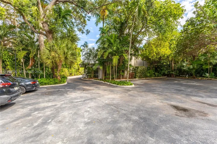 Asphalt parking area featuring mature trees, established palm vegetation, and a covered building entrance